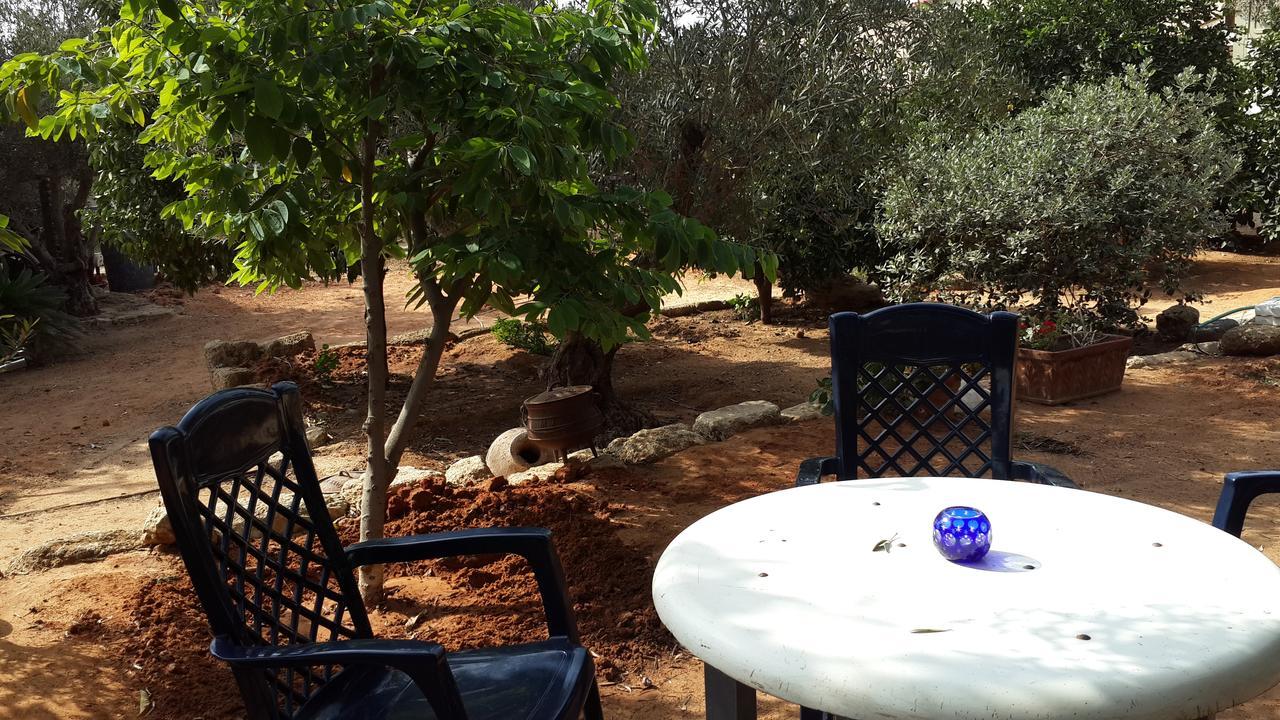 Lisa'S Farm Place Rişon LeTsiyon Dış mekan fotoğraf