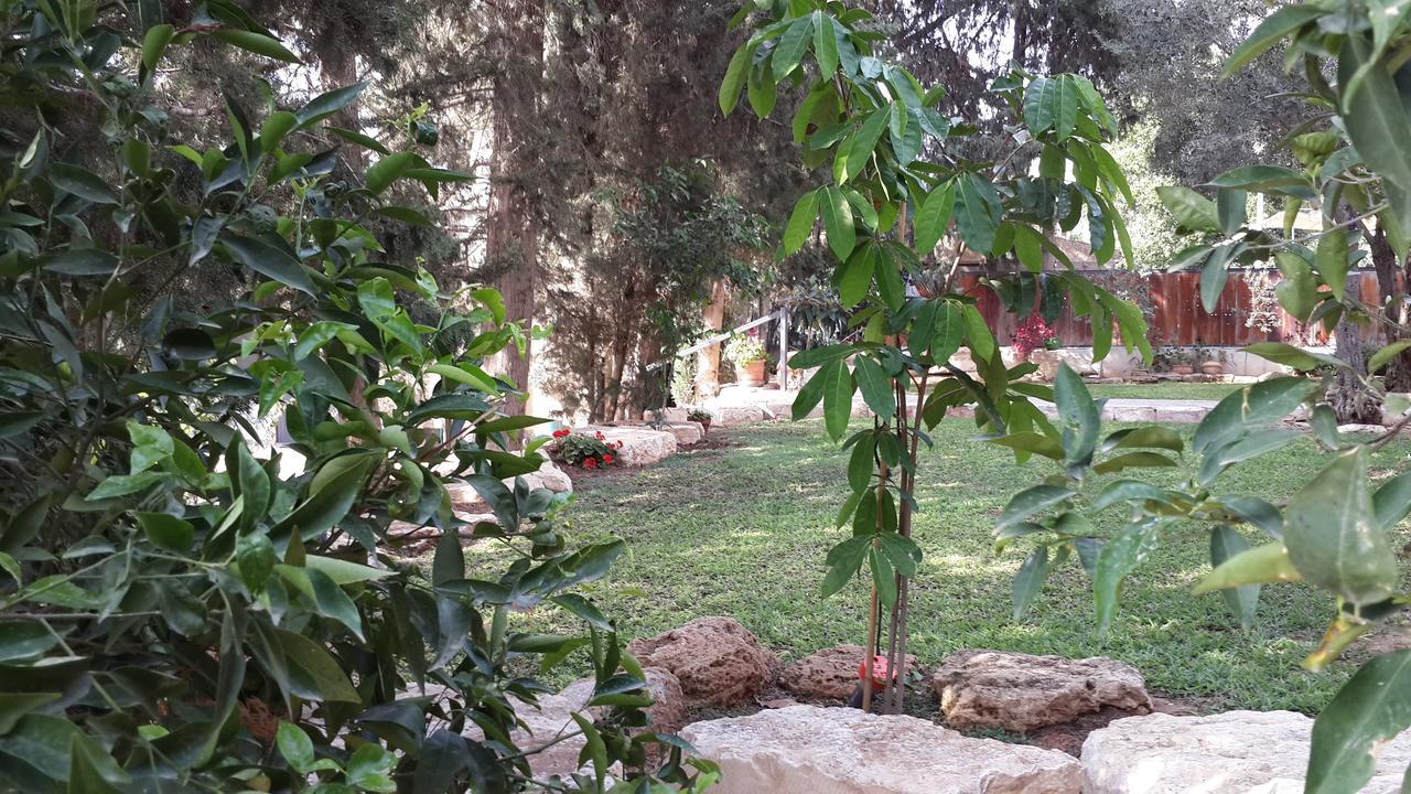 Lisa'S Farm Place Rişon LeTsiyon Dış mekan fotoğraf