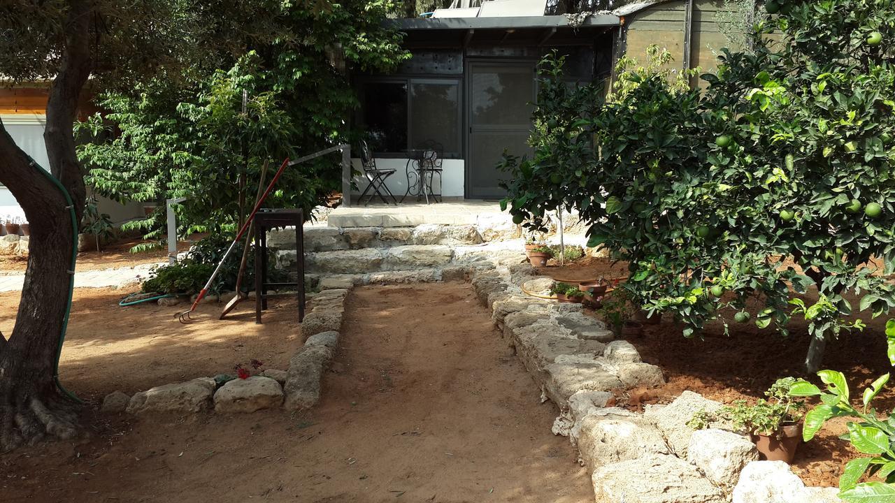 Lisa'S Farm Place Rişon LeTsiyon Dış mekan fotoğraf